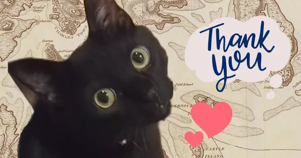 ConoHa WING & JIN:Rのテーマにお世話になっている話